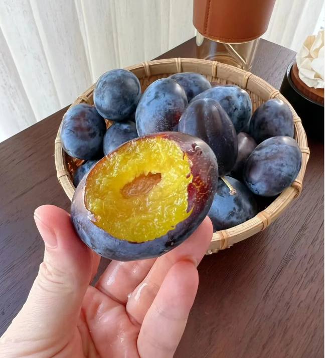 Prune Plum Trees Seeds