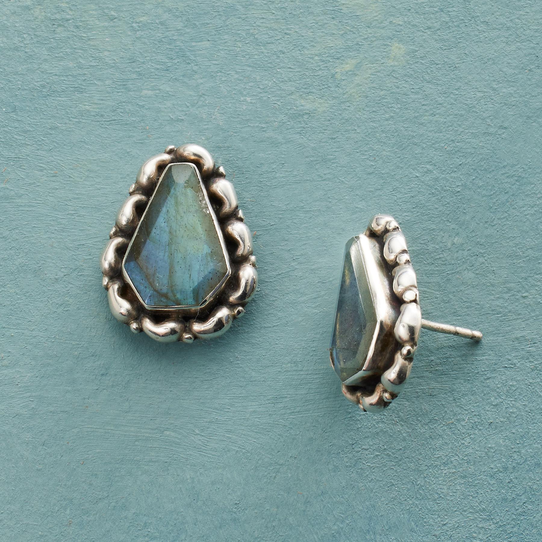 Ensconced Labradorite Earrings