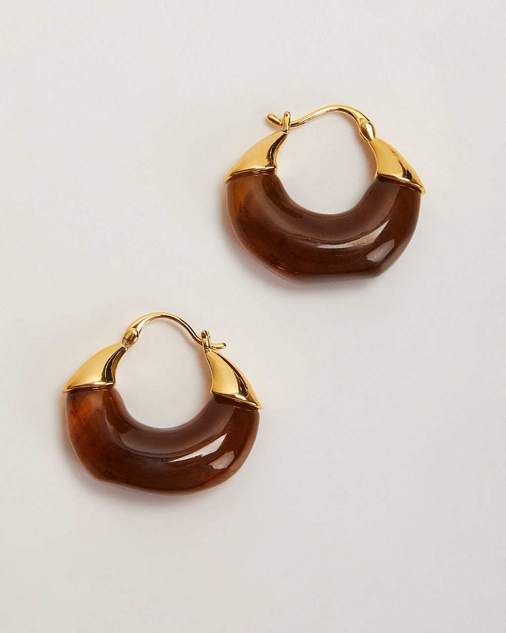 Lucite Hoop Earrings