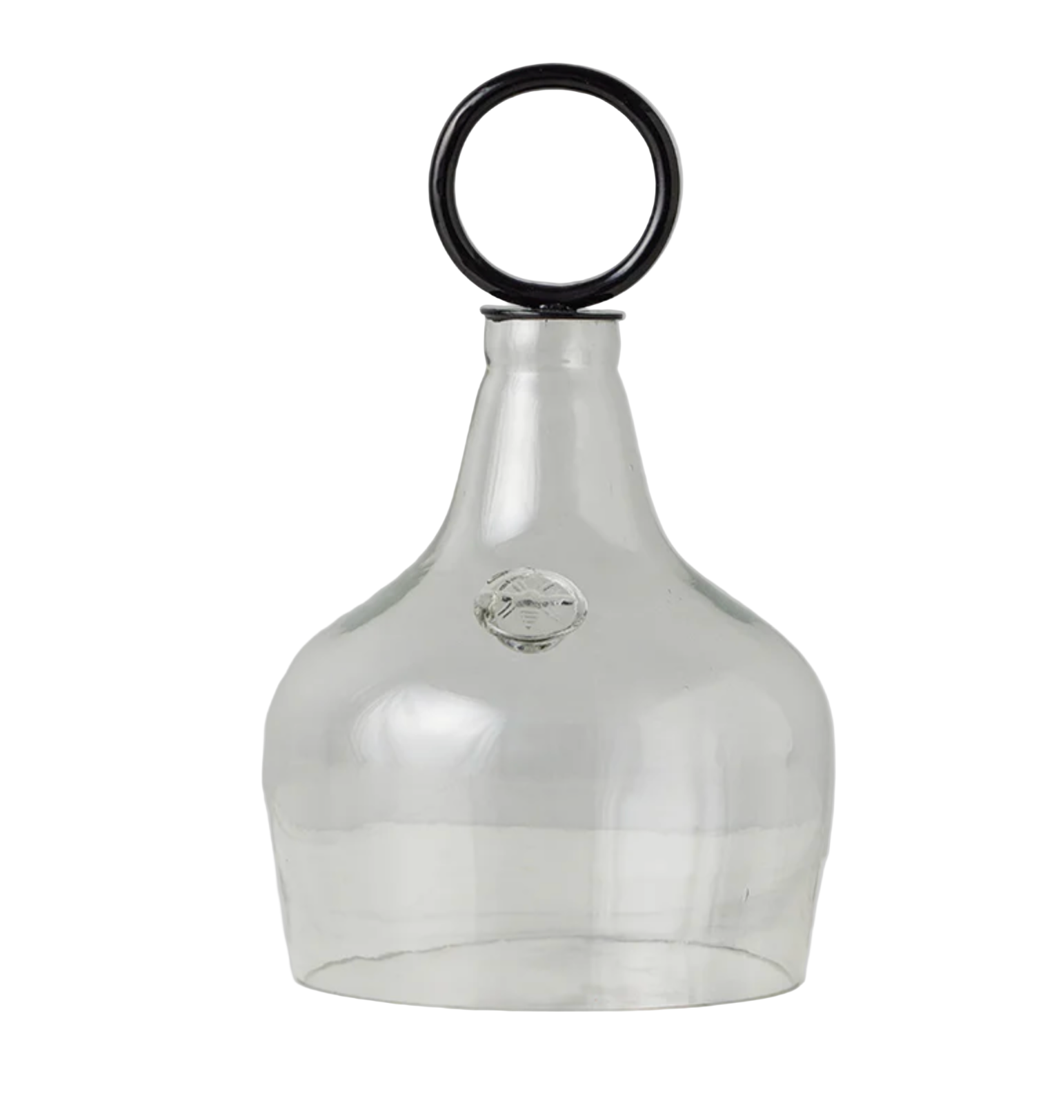 Small Glass Cloche Food Cover, Black Ring Handle