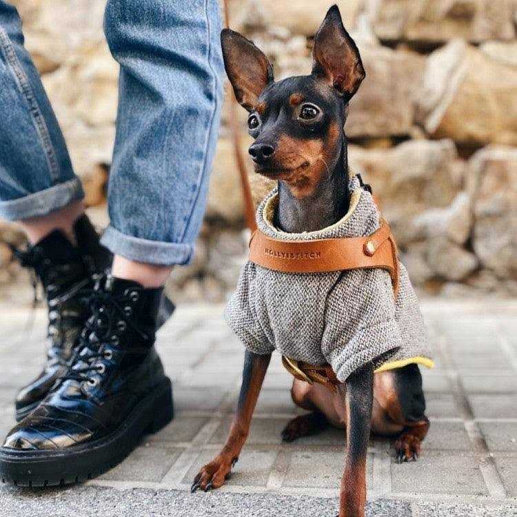 Butter Leather Dog Harness Molly And Stitch US