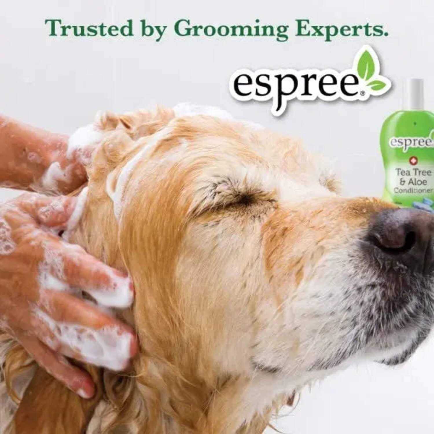 Espree Aloe Hydrating Spray