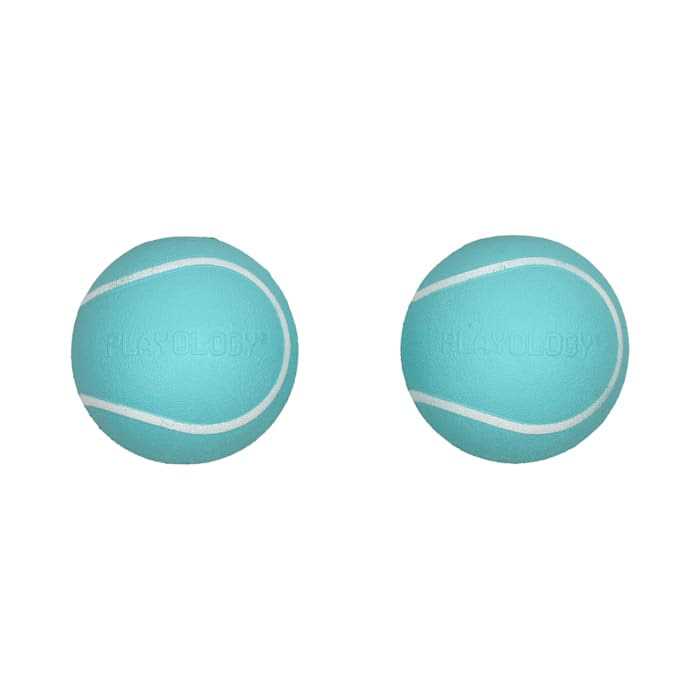 Playology Squeaky Chew Ball Dog Toy