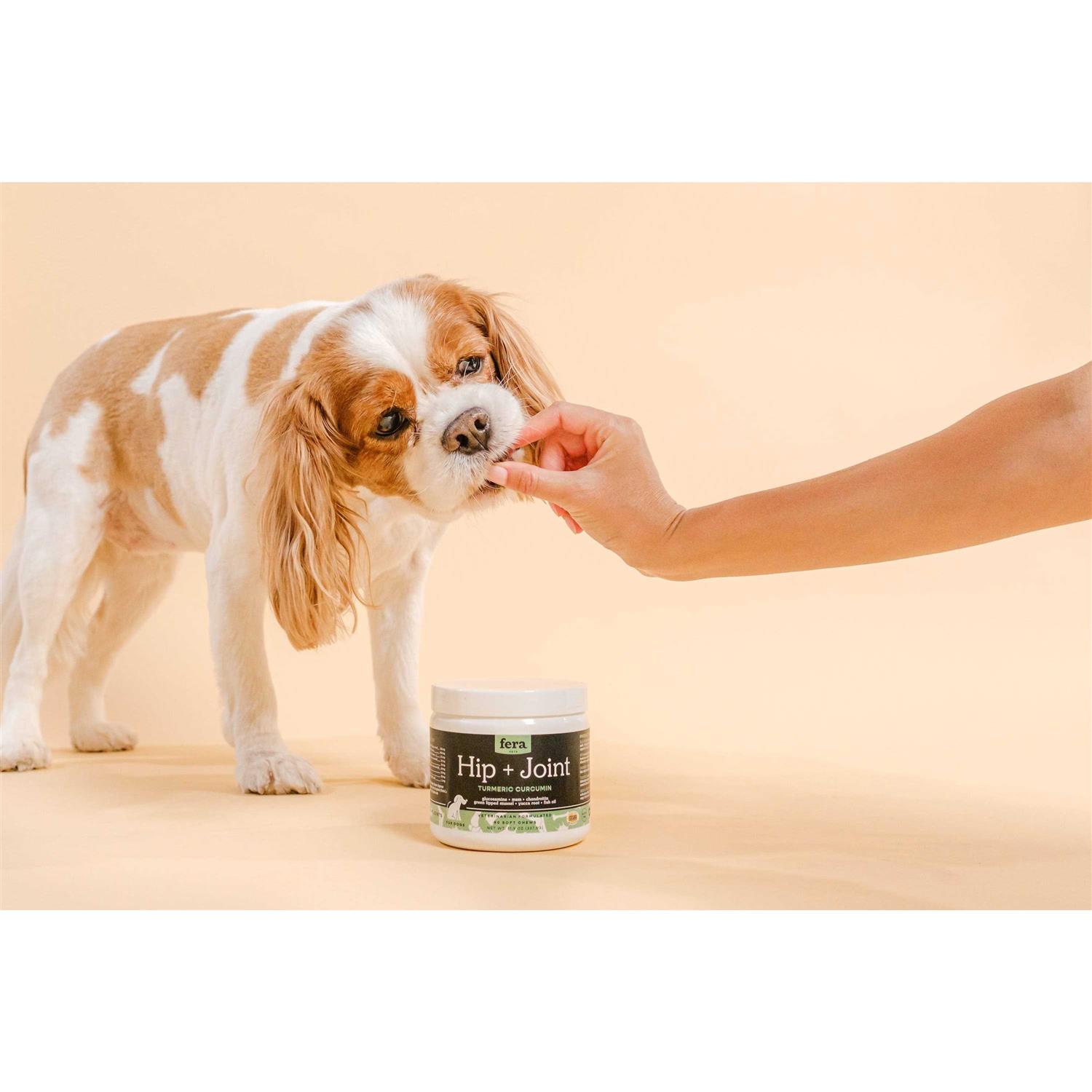 Fera Pet Organics Hip & Joint Soft Chew Dog Supplement