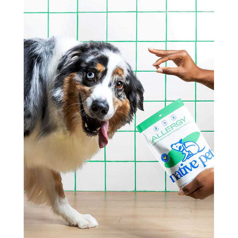 Native Pet Allergy Chews for Dogs