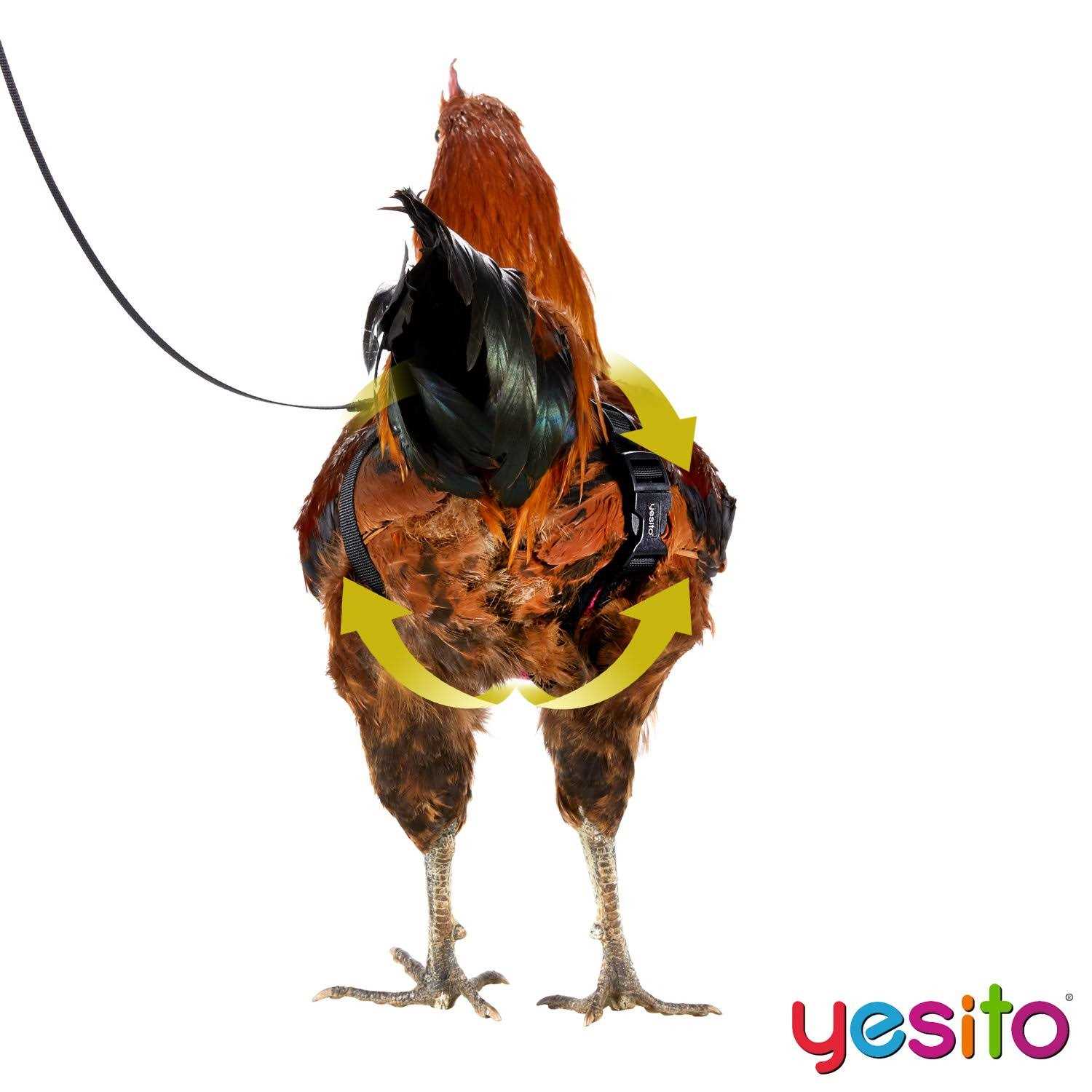 Yesito Chicken Harness Hen Size with 6ft Matching Leash