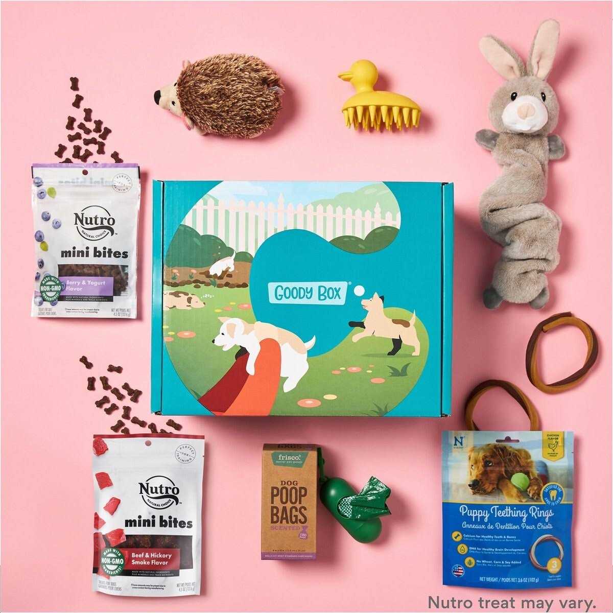 Goody Box Puppy Toys