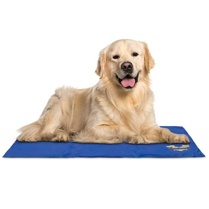 Arf Pets Pet Dog Self Cooling Mat Pad for Kennels Crates and Beds