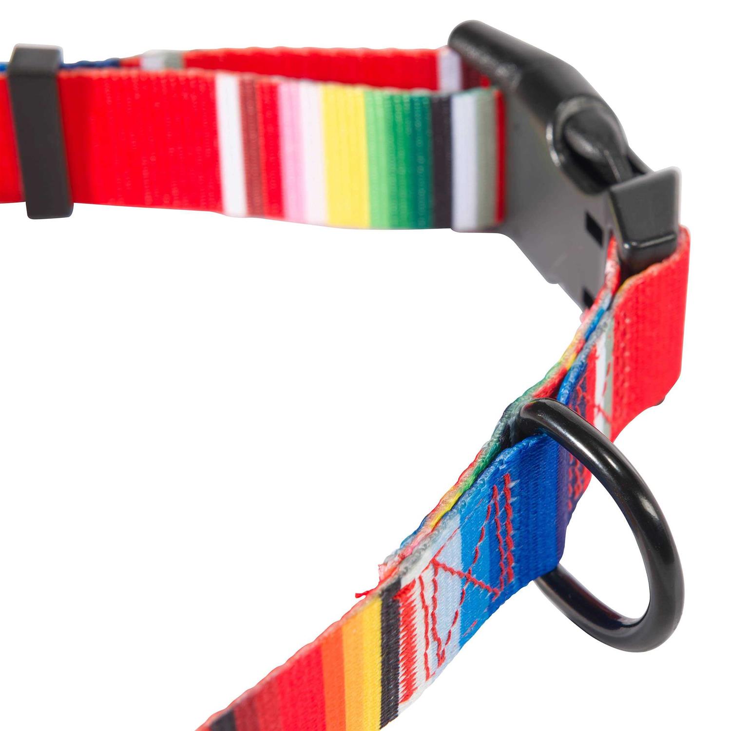 Hooey Nomad Dog Collar