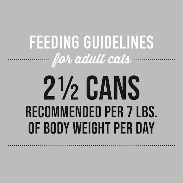 Tiki Cat Silver Chicken Seniors Wet Cat Food