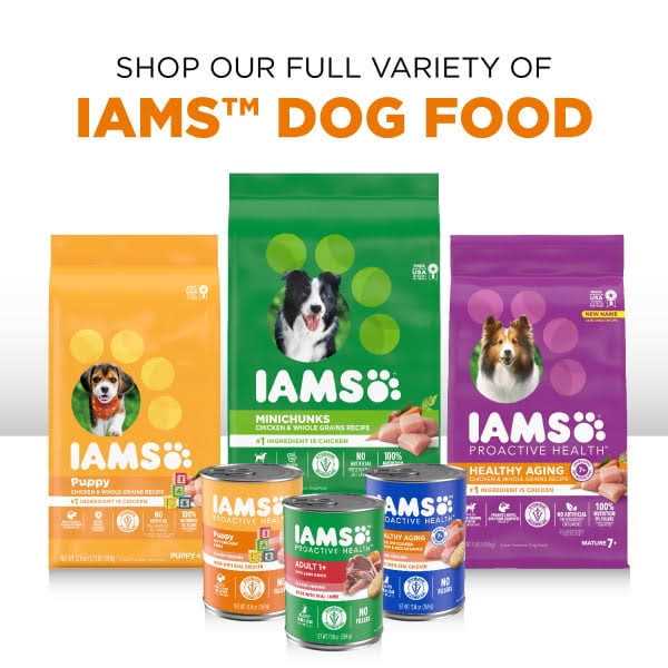 Iams Proactive Health Wet Dog Food Variety Pack