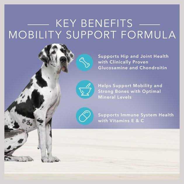 Blue Buffalo True Solutions Jolly Joints Mobility Support Dog Food