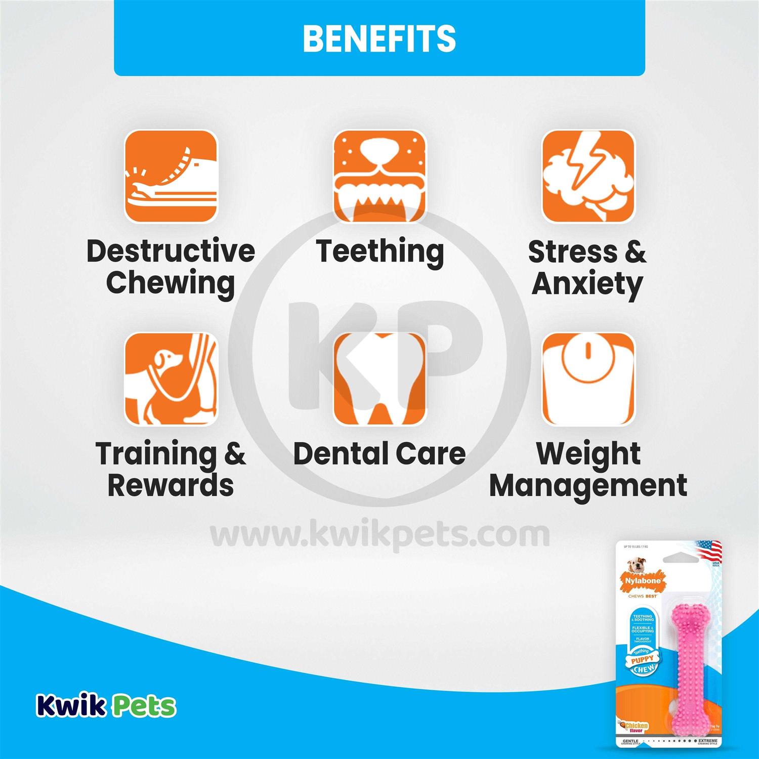 Nylabone Puppy Dental Chew Toy