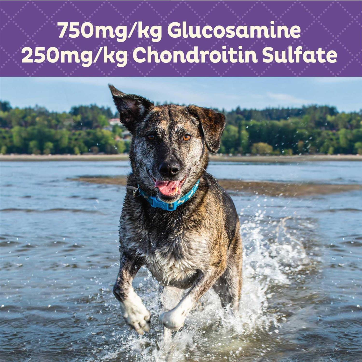 Old Mother Hubbard Mother’s Solutions Hip & Joint Baked Dog Treats