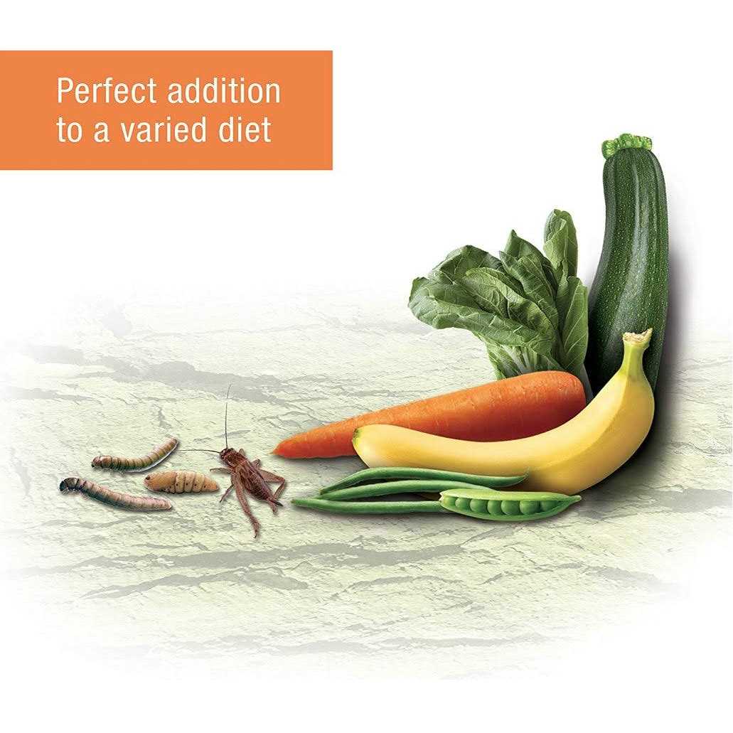 Zilla Reptile Munchies Omnivore Mix with Calcium