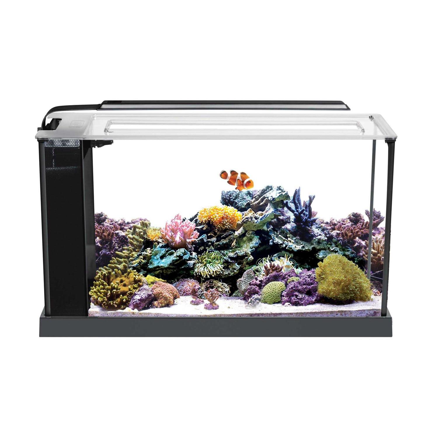 Fluval Evo Aquarium Kit