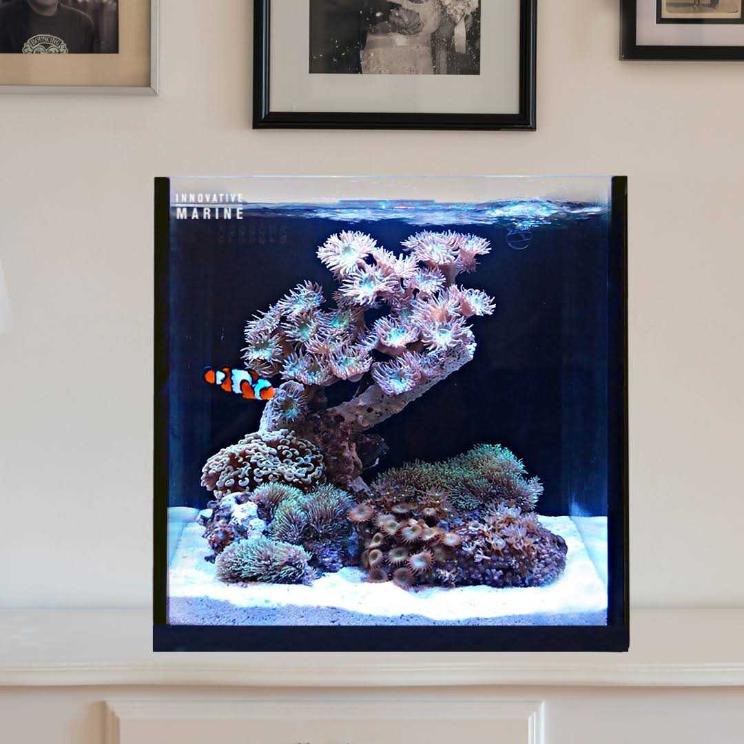 Innovative Marine 15 Nuvo Fusion AIO Cube Aquarium