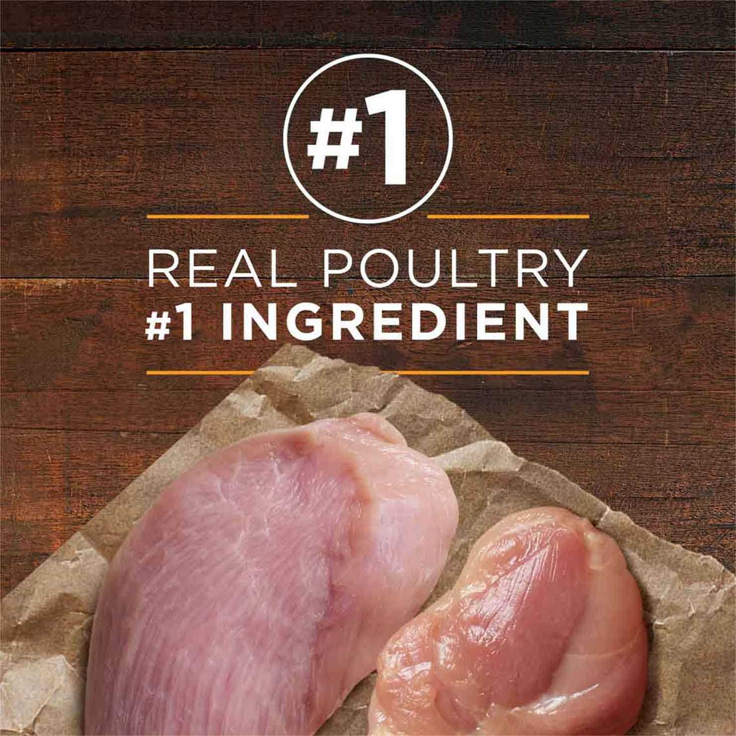 Purina ONE SmartBlend Adult Dog Food True Instinct Grain Free