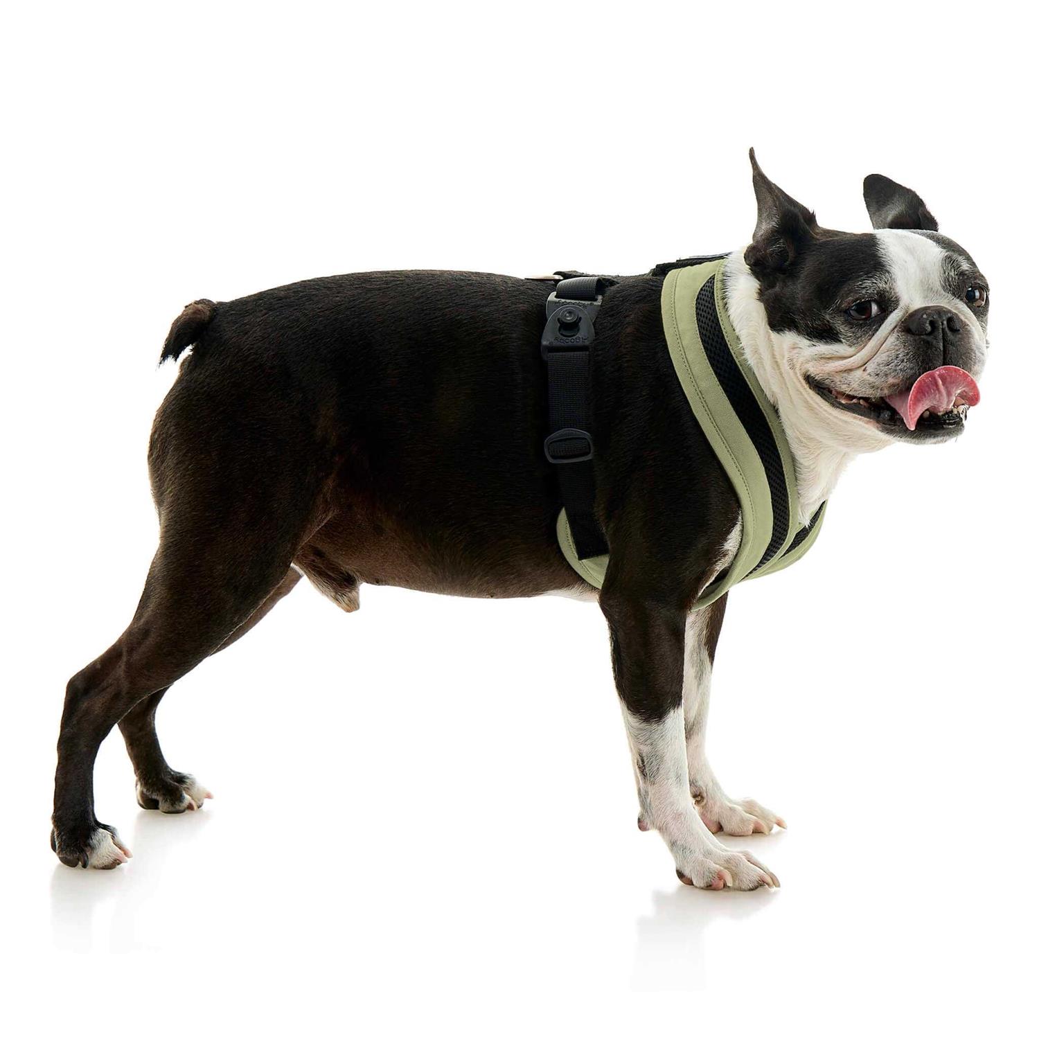 Gooby Escape Free Comfort X One Dog Harness