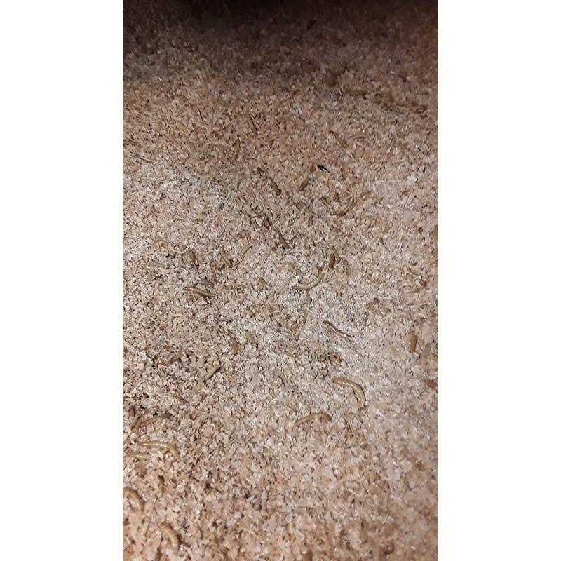 Josh’s Frogs Mealworm and Superworm Bedding