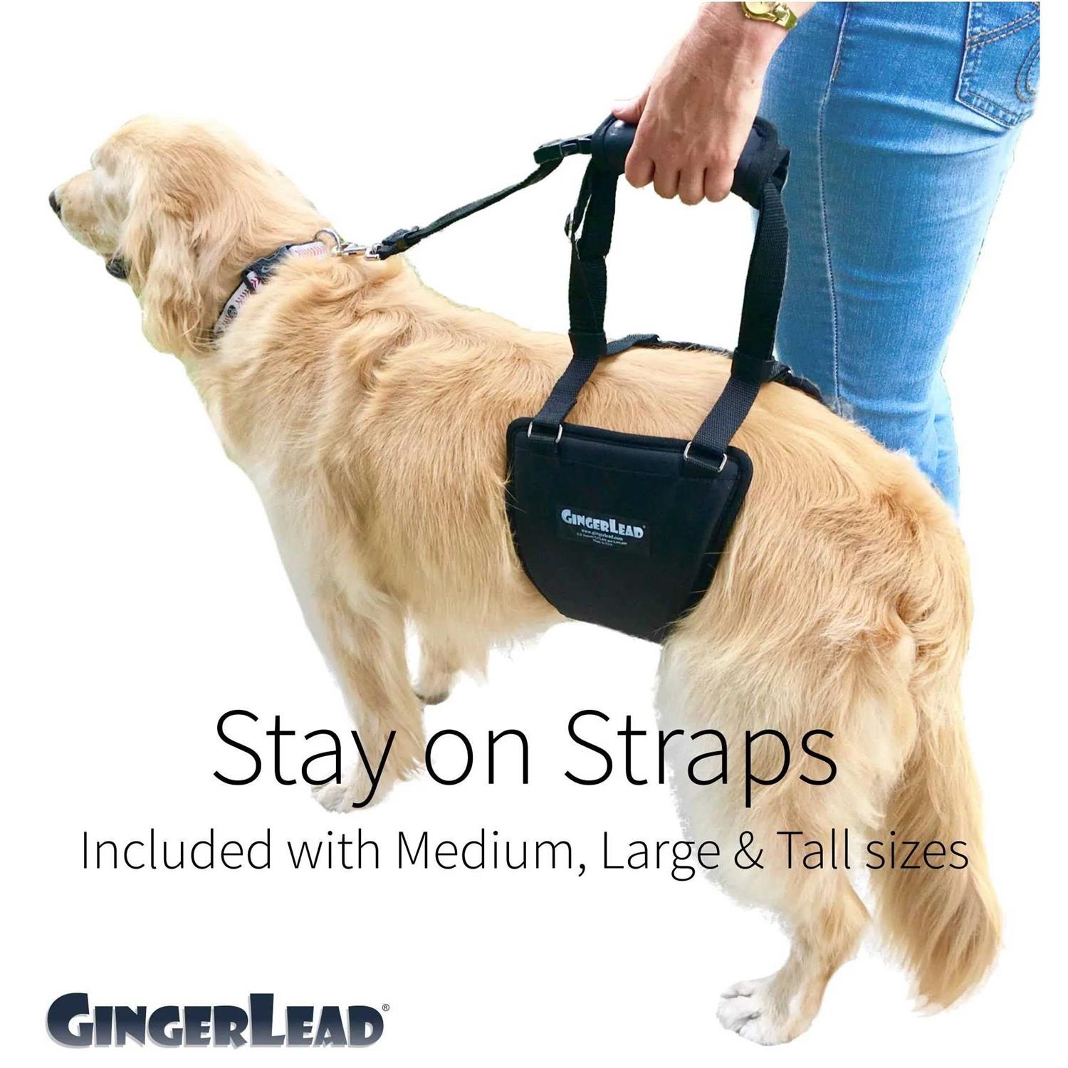 GingerLead Dog Support Rehabilitation Harness