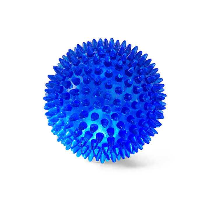 Leaps & Bounds Spiny Ball Dog Chew Toy