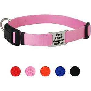 GoTags Adjustable Nameplate Personalized Dog Collar