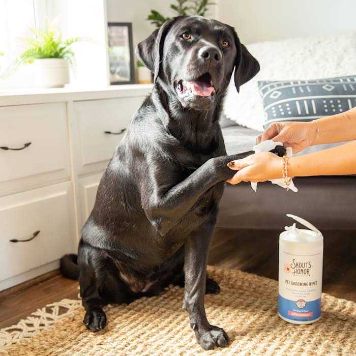 Skout’s Honor Pet Grooming Wipes