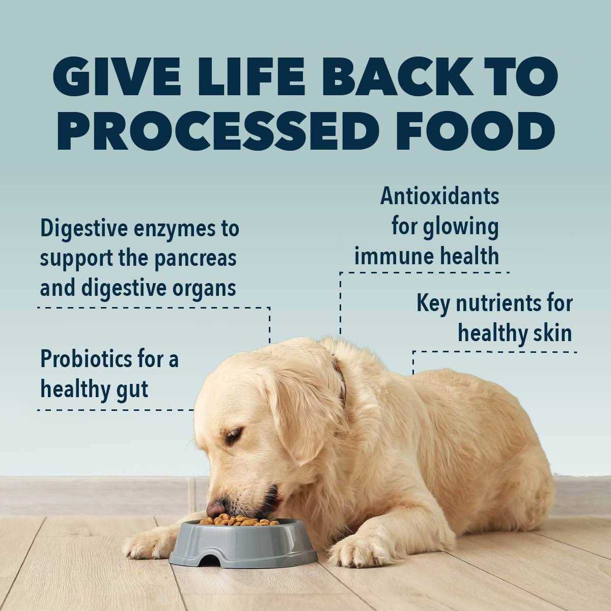 Four Leaf Rover Kibble Fixer Dog Food Topper