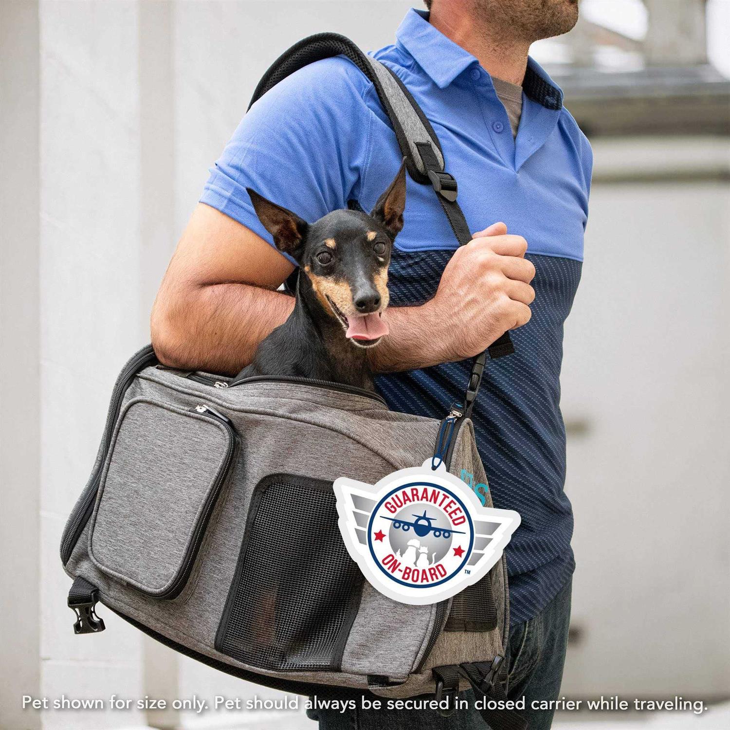 Sherpa Travel Backpack Pet Carrier