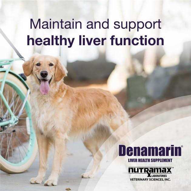 Nutramax Denamarin for Liver Health Tablets for Large Dogs