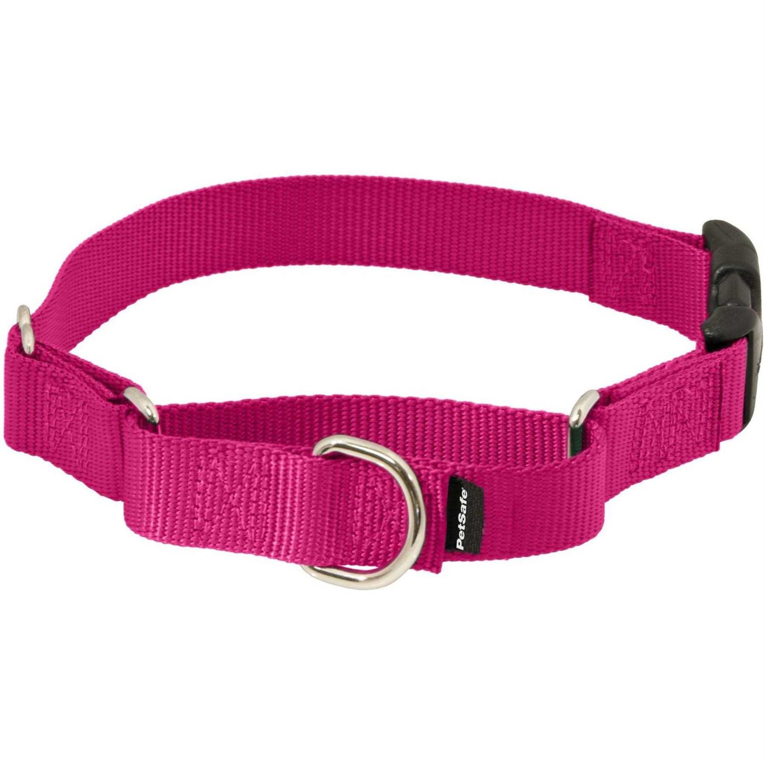 PetSafe Martingale Collar Quick Snap