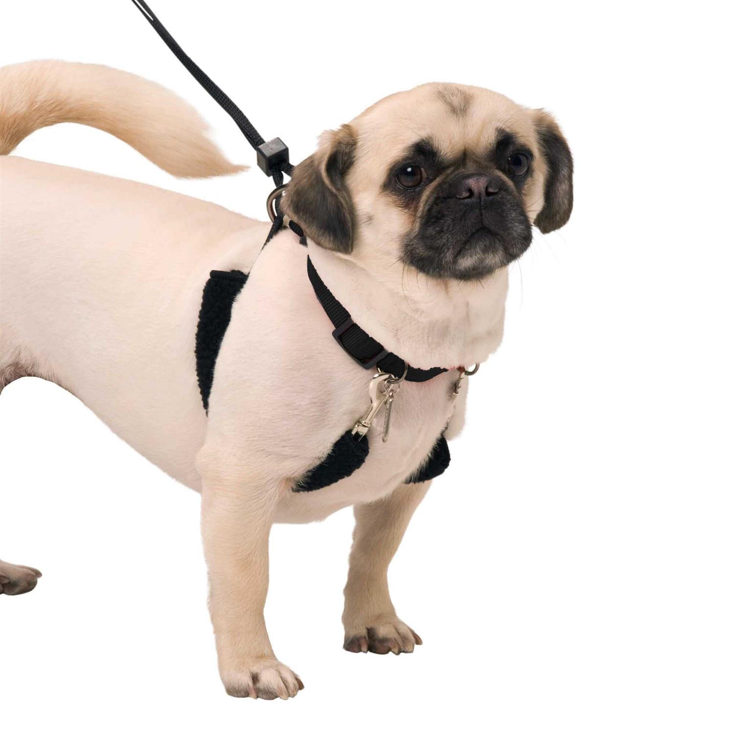 Sporn Halter