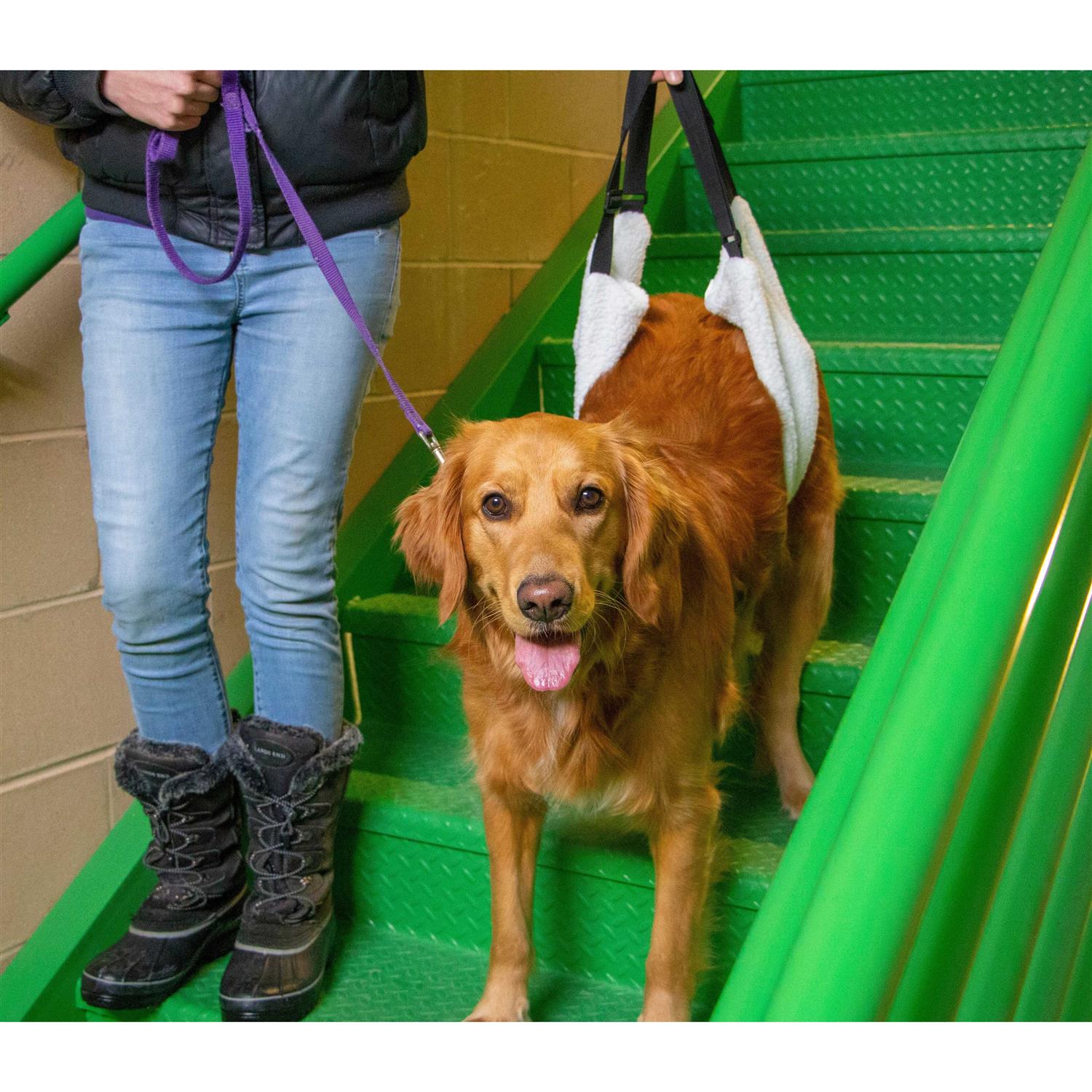 Labra Dog Veterinarian Approved Plush Soft Canine Sling Adjustable Straps