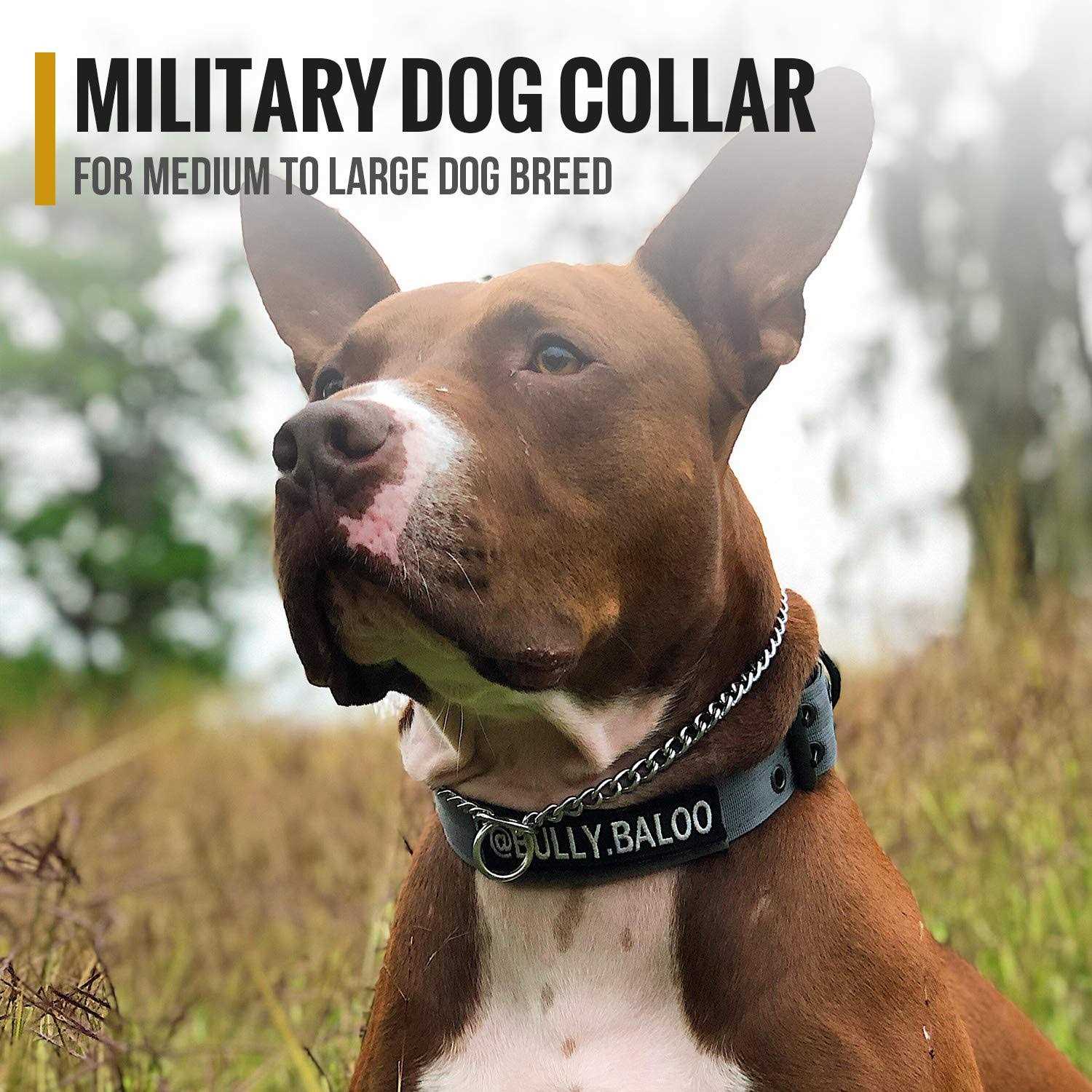 Onetigris Military Adjustable Dog Collar with Metal D Ring Buckle 2 Sizes