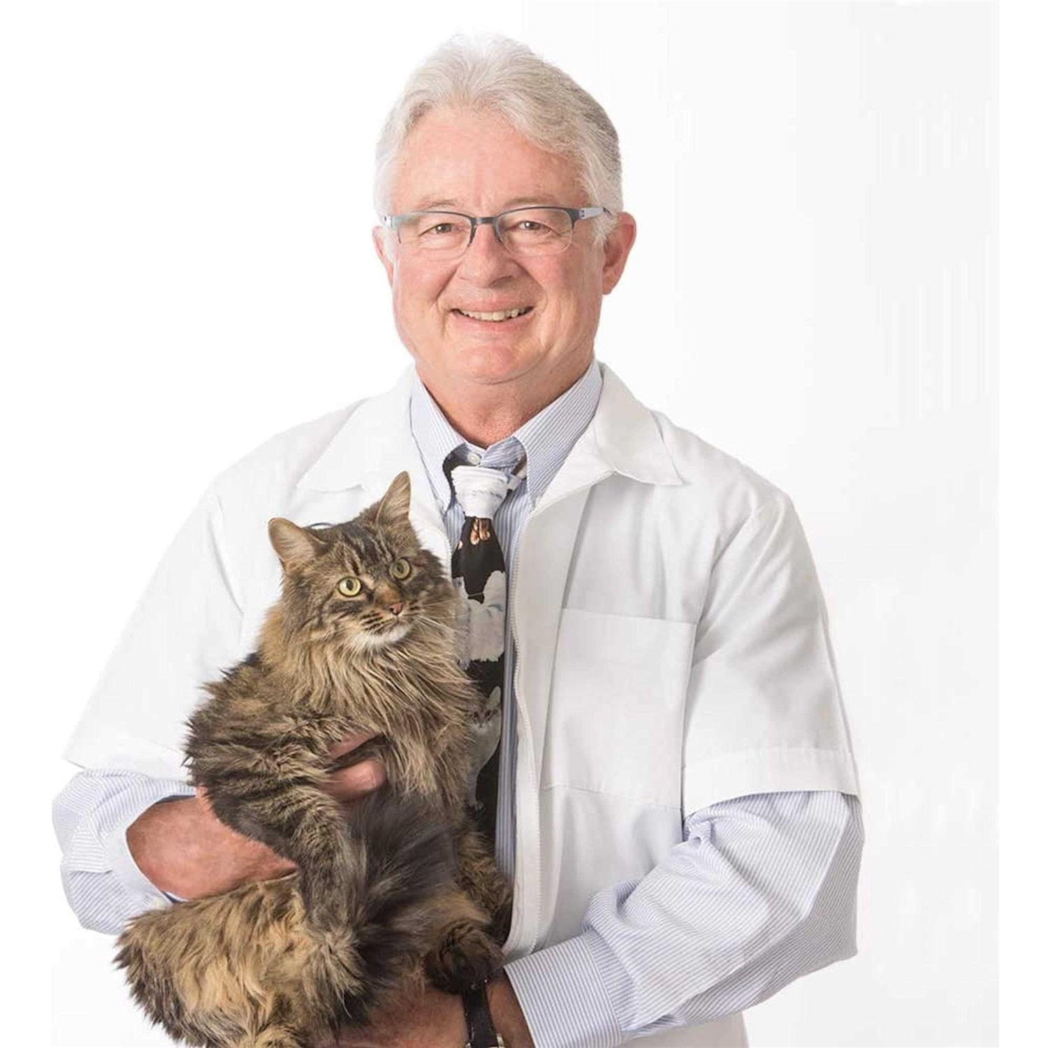 Dr. Elsey’s Respiratory Relief Clumping Cat Litter