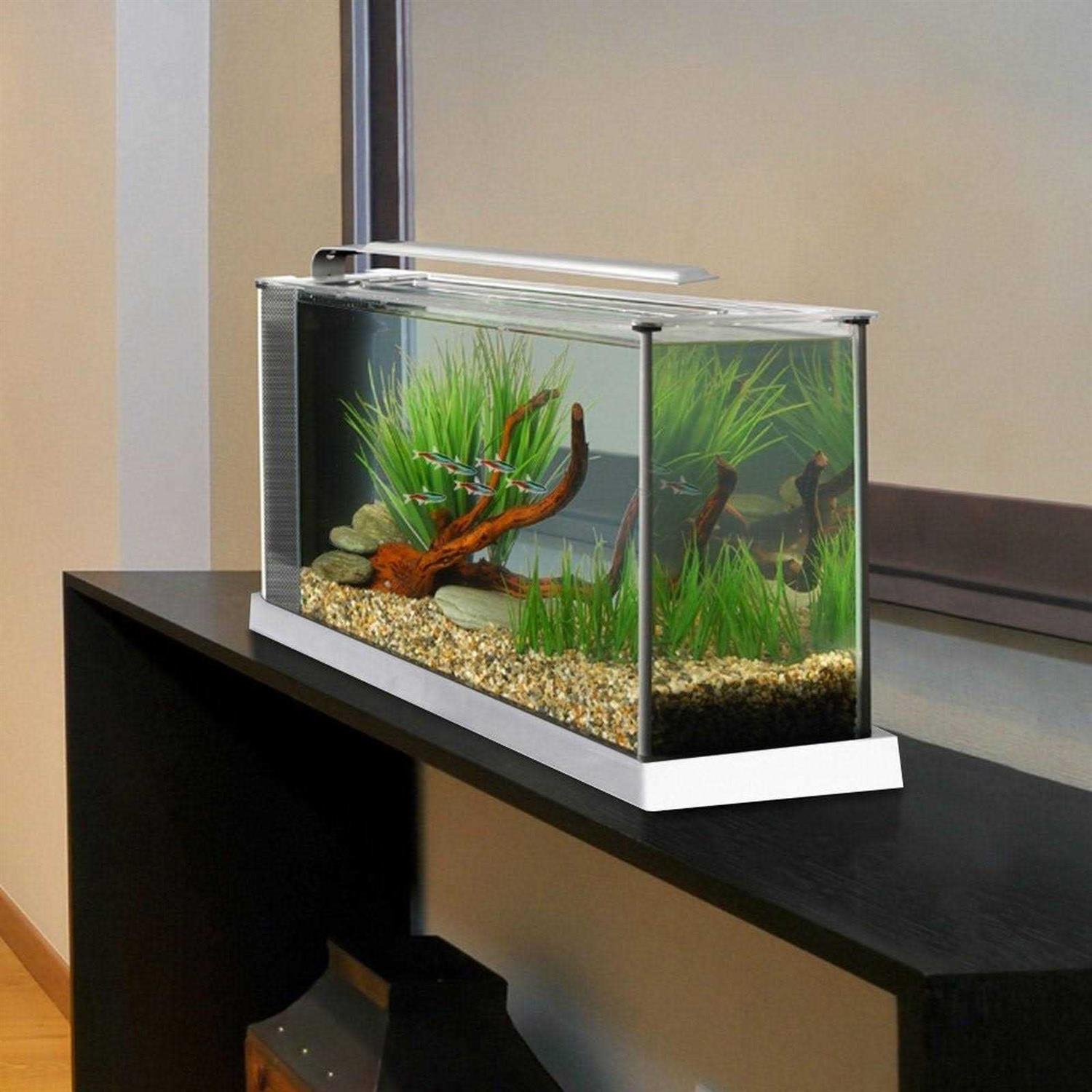 Fluval Spec V