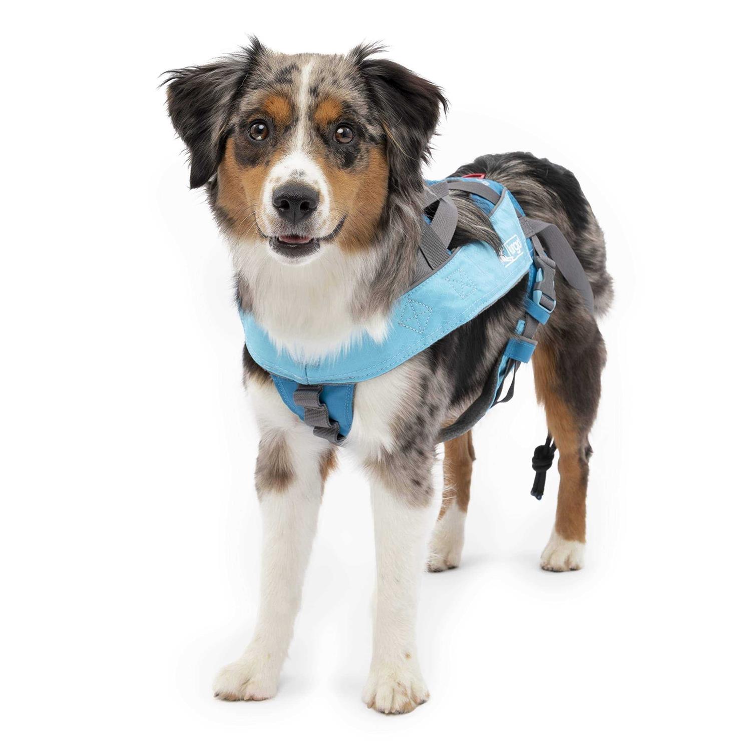 Kurgo Long Hauler Cradle Back Joring Dog Harness