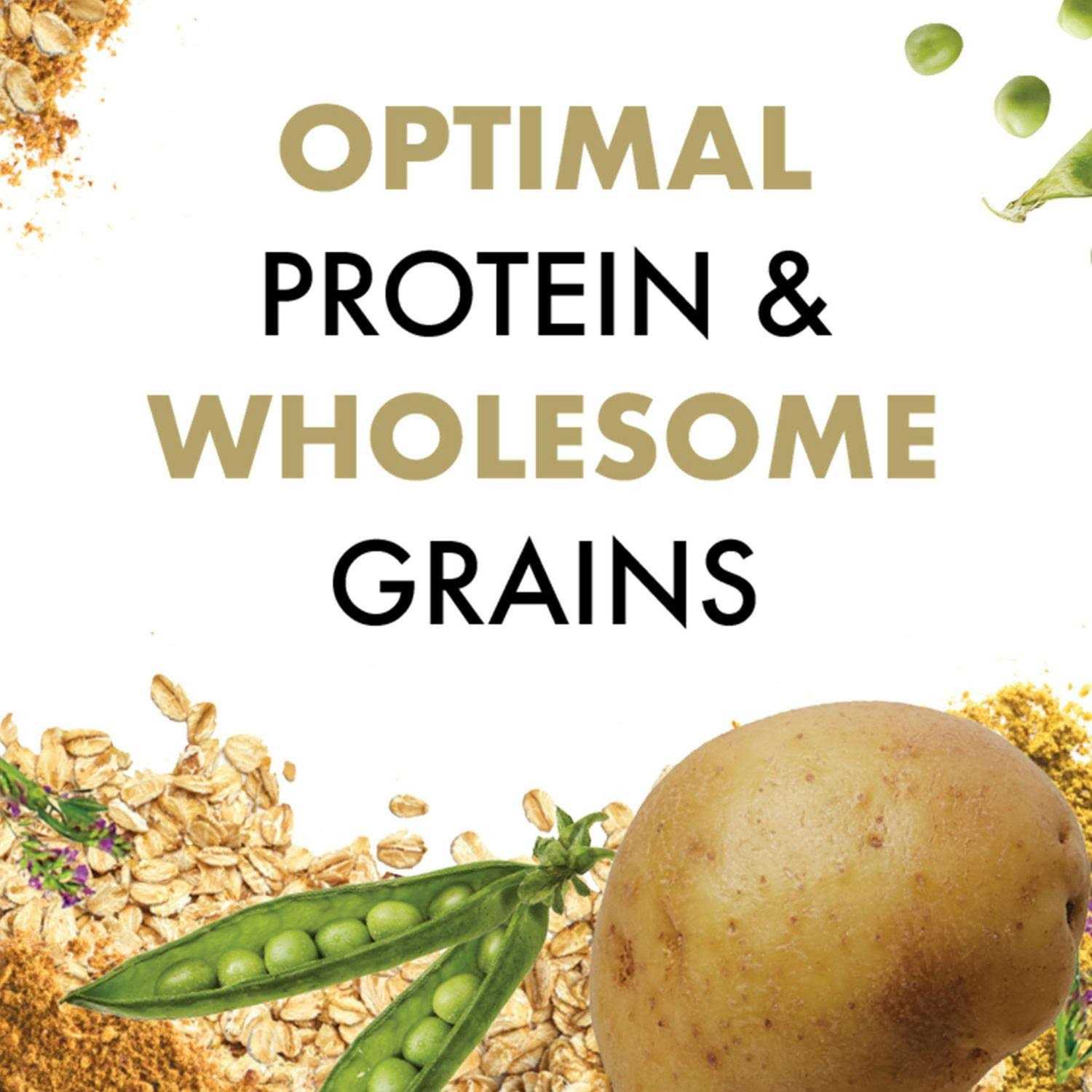 Canidae All Life Stages Dry Dog Food