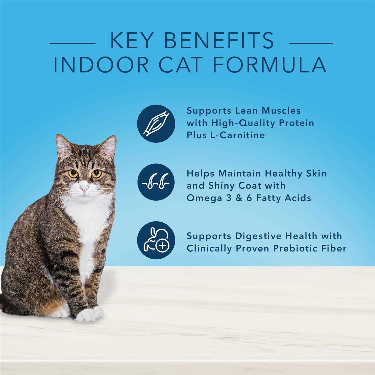 Blue Buffalo True Solutions Fab Feline Natural Chicken Indoor Adult Dry Cat Food