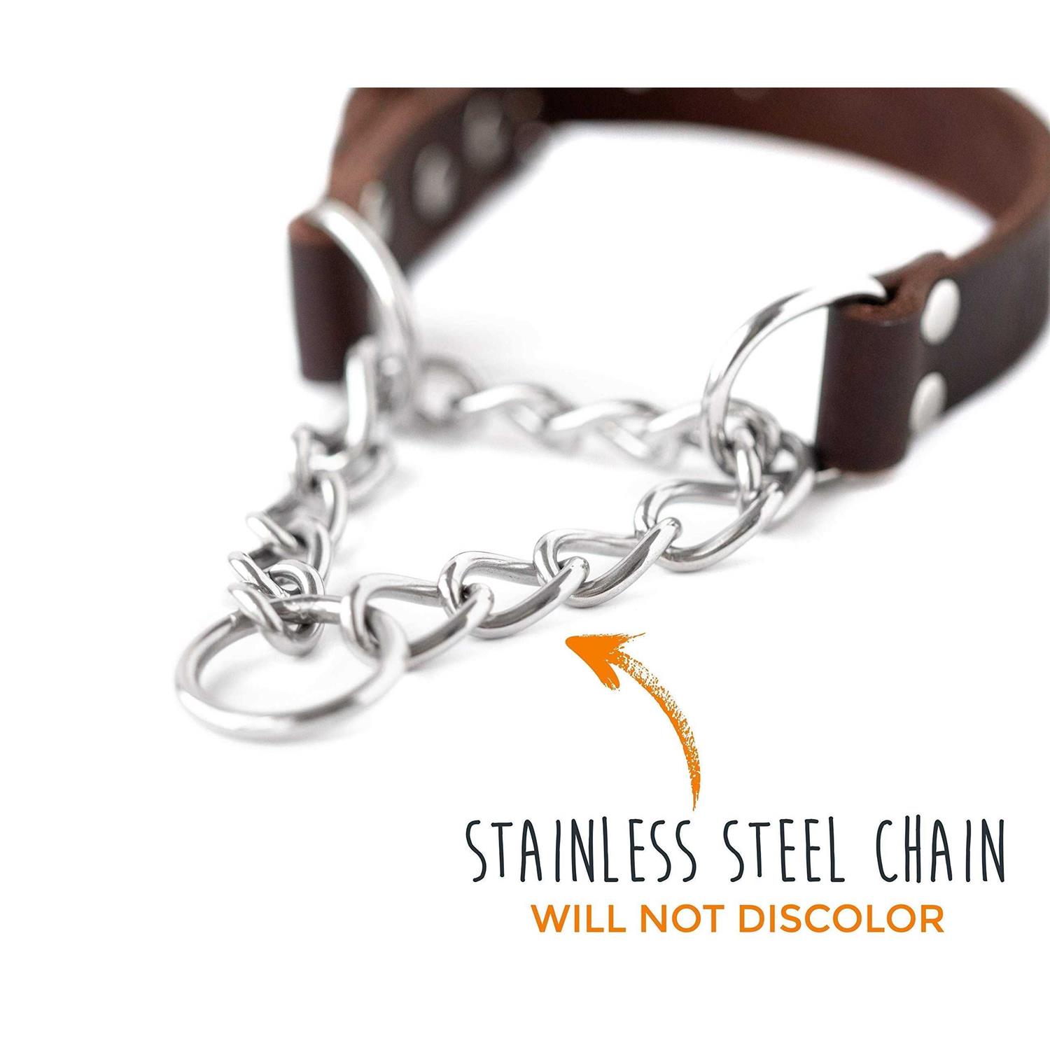 Mighty Paw Leather Collar Martingale Collar