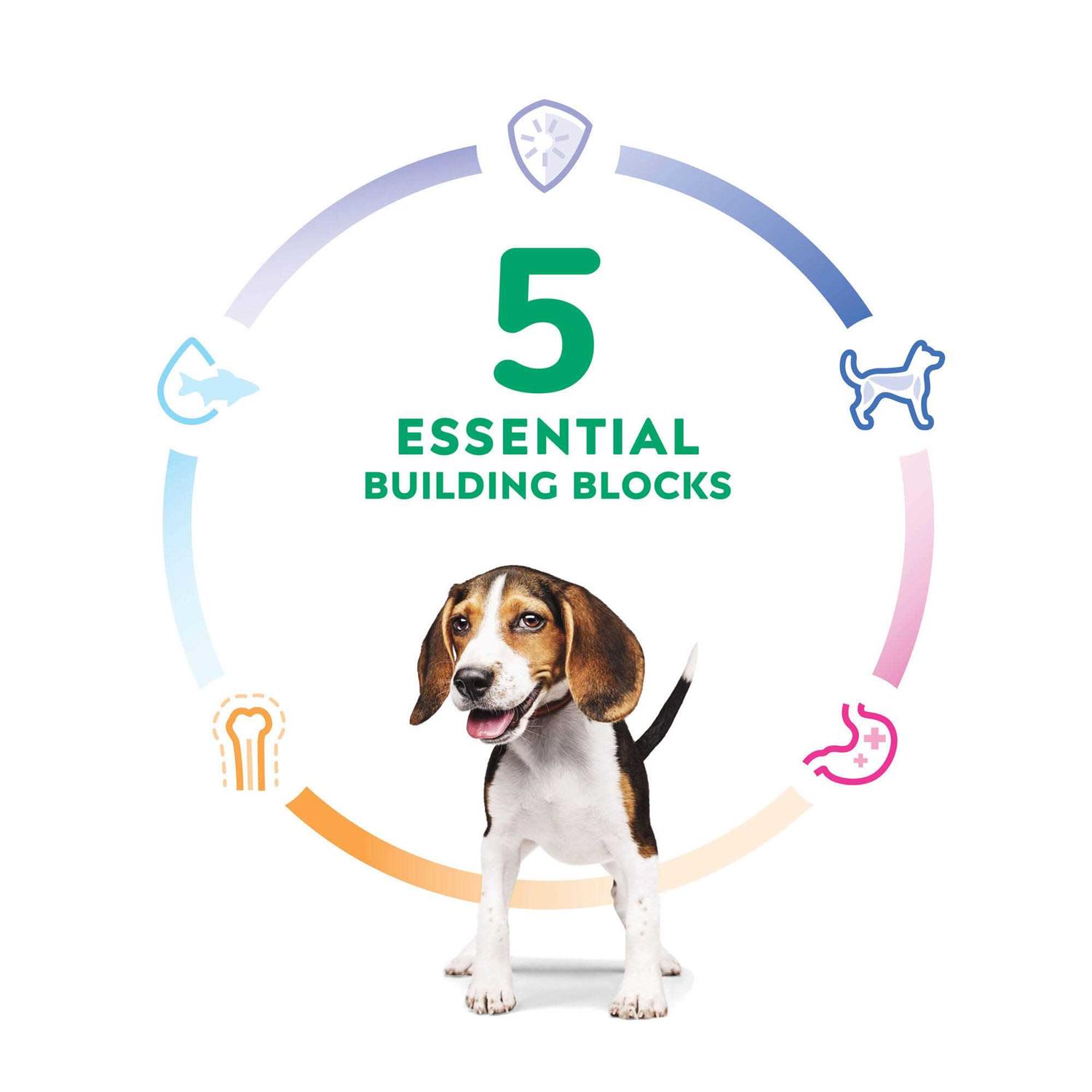 Hill’s Science Diet Puppy Lamb Meal & Brown Rice Recipe Dry Dog Food