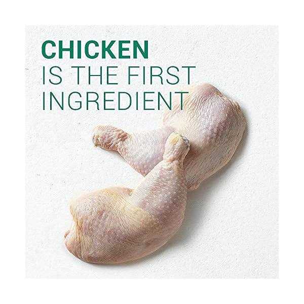 Nutro Wholesome Essentials Healthy Weight Large Breed Adult Farm Raised Chicken