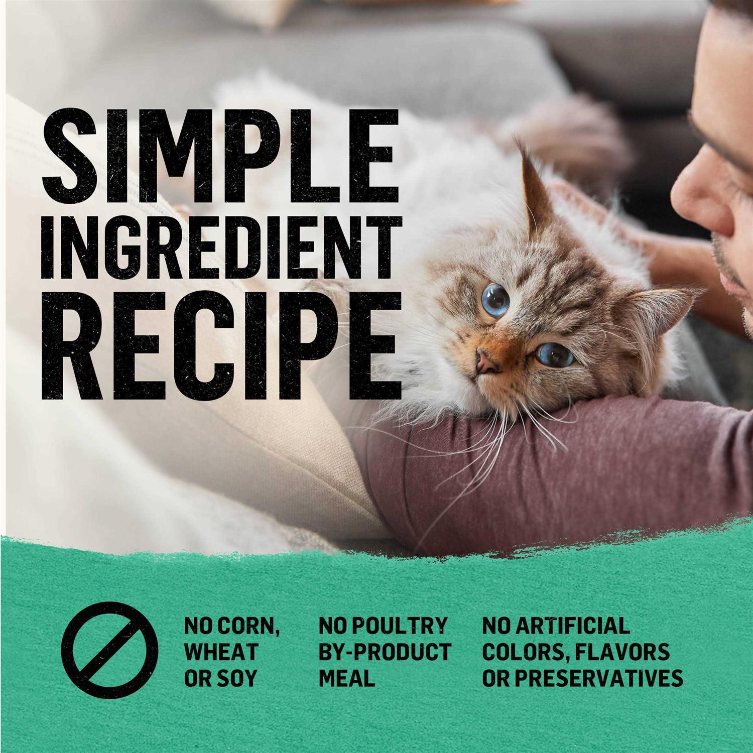 Purina Beyond Grain Free Dry Cat Food