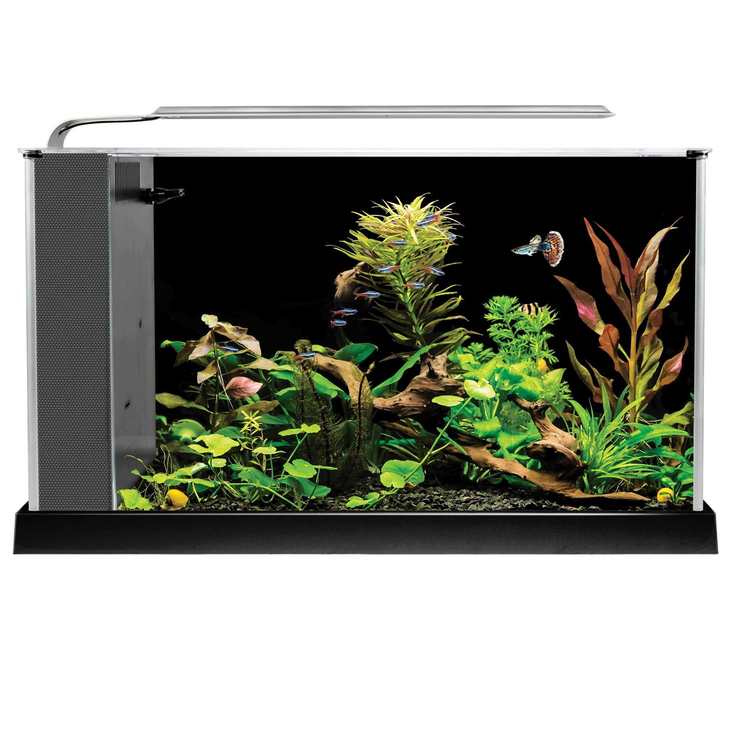 Fluval Spec V
