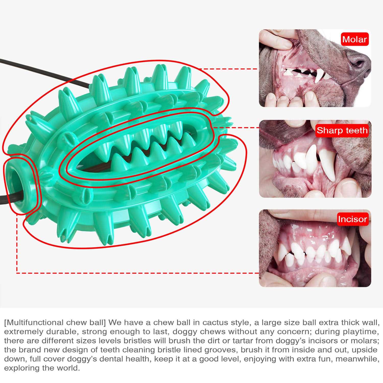 Hanamya Toothbrush Dog Chew Toy