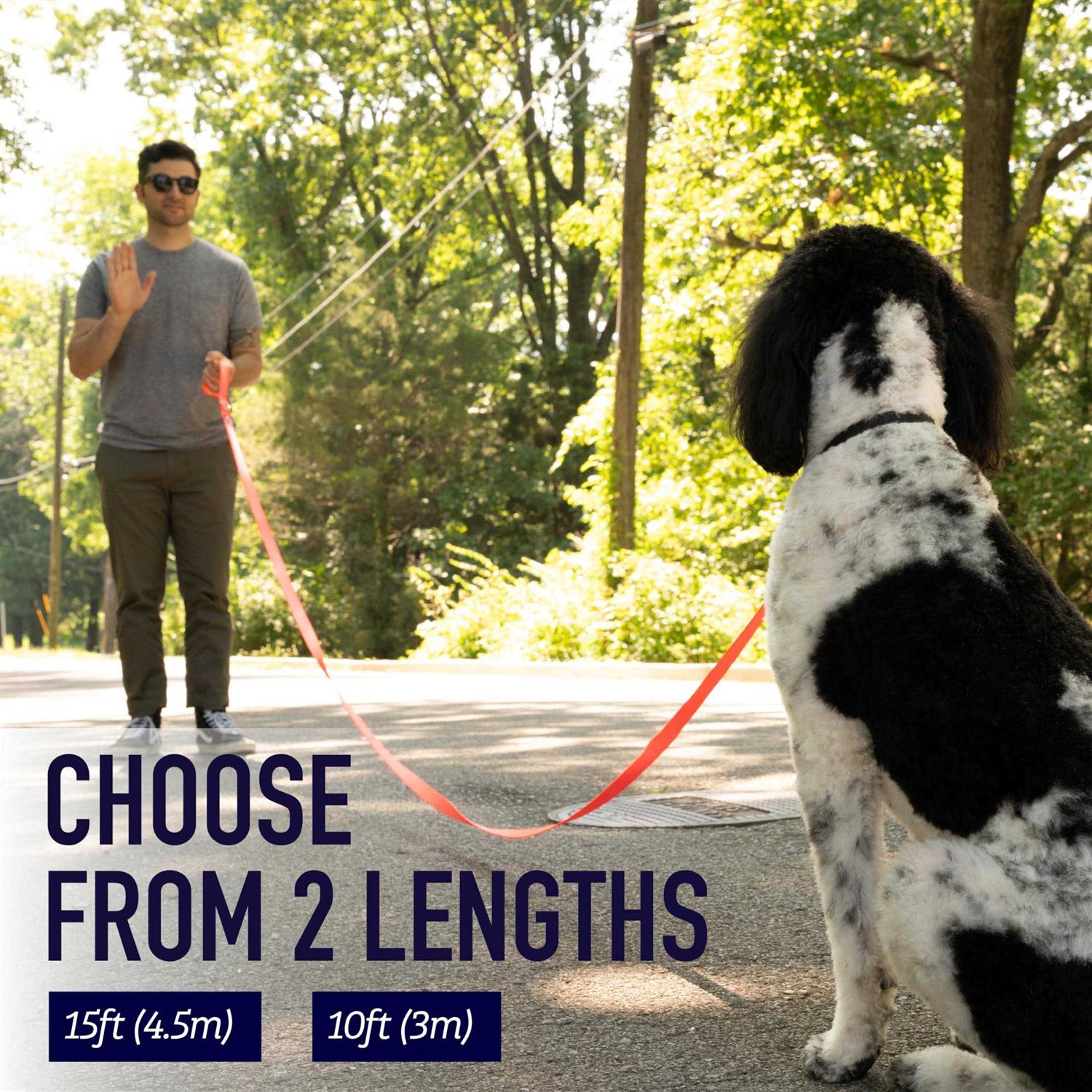 Leashboss 10 Foot Dog Leash with Padded Handle