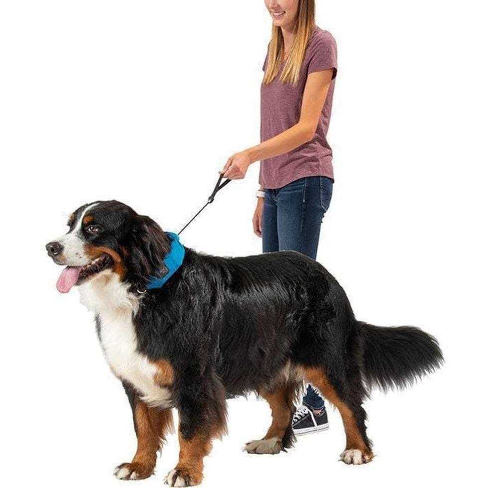 Nite Ize RadDog All-In-One Collar and Leash