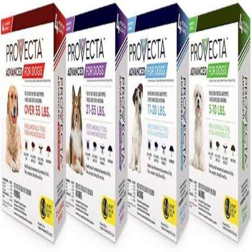 Provecta 4 Doses Advanced for Dogs