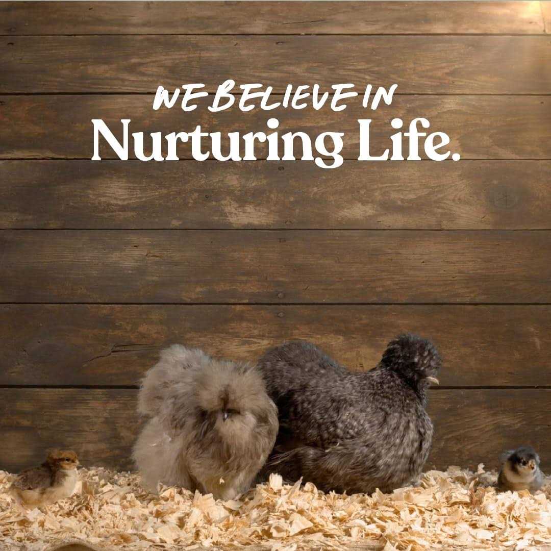 Manna Pro Omega Egg Maker Supplement